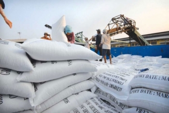 Gạo Việt chiếm lĩnh thị trường