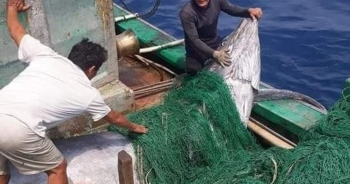 Ngư dân bắt được cá "khủng" nặng hơn 550 kg, bán 40 triệu đồng