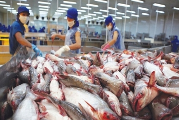 Trung Quốc rời "ngôi vương" nhập khẩu cá tra của Việt Nam