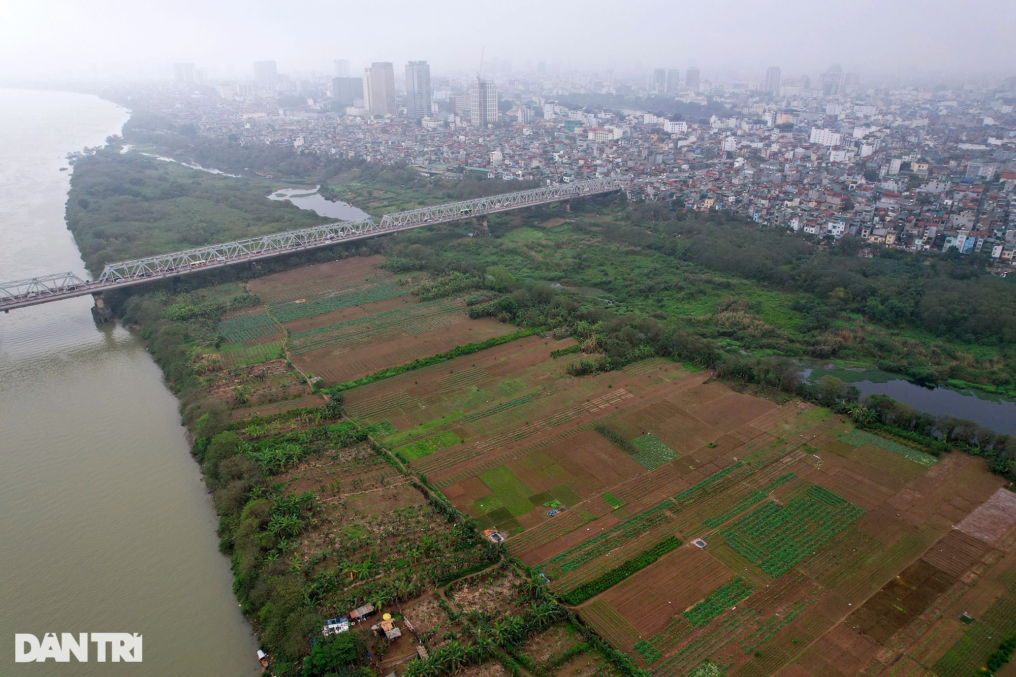 Ngắm vẻ đẹp hoang sơ bãi giữa sông Hồng ở Hà Nội được đề xuất làm công viên - 1