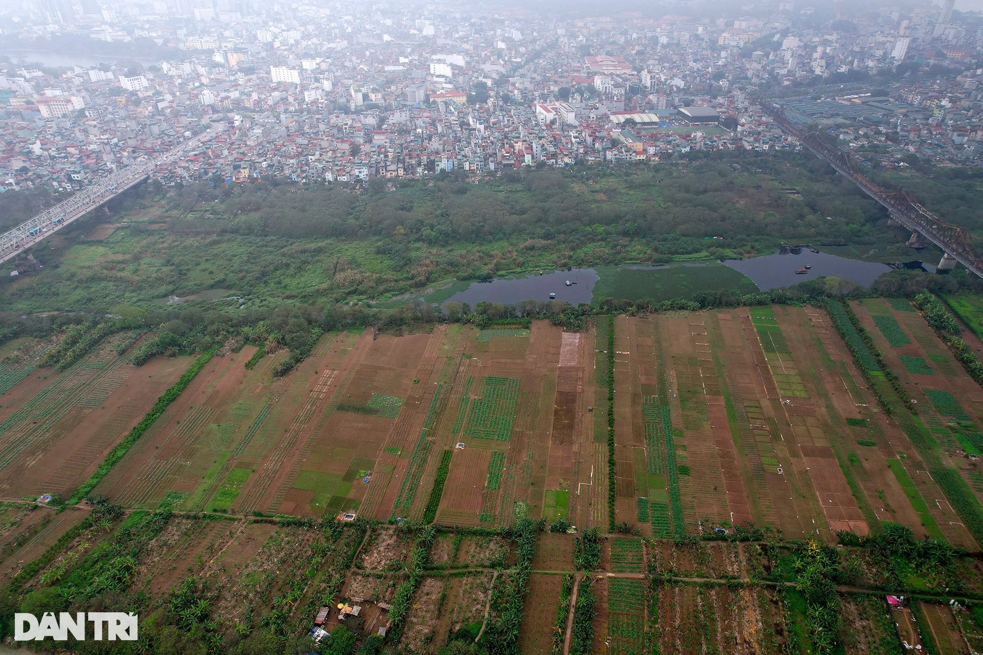 Ngắm vẻ đẹp hoang sơ bãi giữa sông Hồng ở Hà Nội được đề xuất làm công viên - 12