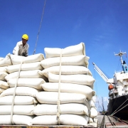 Bộ Công Thương khẩn cấp kiểm tra xuất nhập khẩu gạo