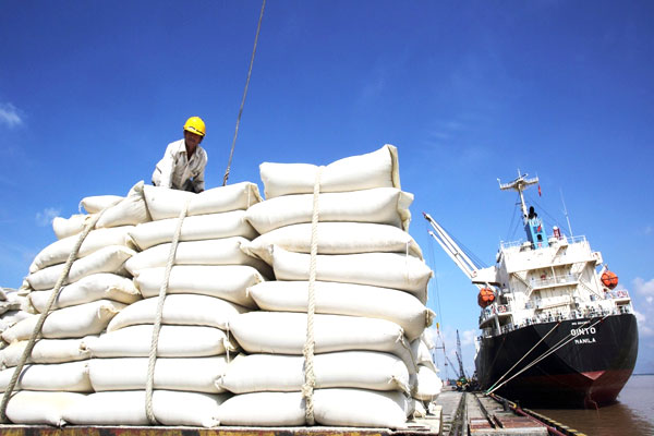 Bộ Công Thương khẩn cấp kiểm tra xuất nhập khẩu gạo