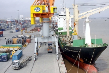 Vì sao hàng container qua cảng biển Việt Nam tăng cao dù có nhiều biến động?