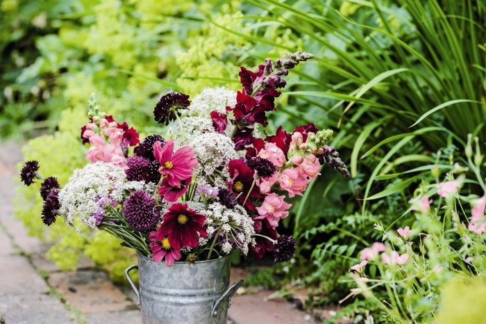 Tử vi ngày 7/5/2022: Tuổi Sửu đường tiến rộng mở, tuổi Dần tài lộc không ngờ