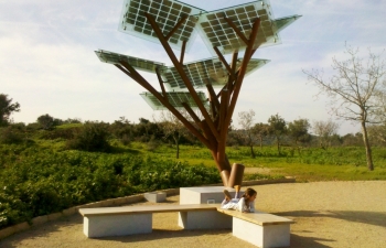 Lợi thế của cây năng lượng mặt trời