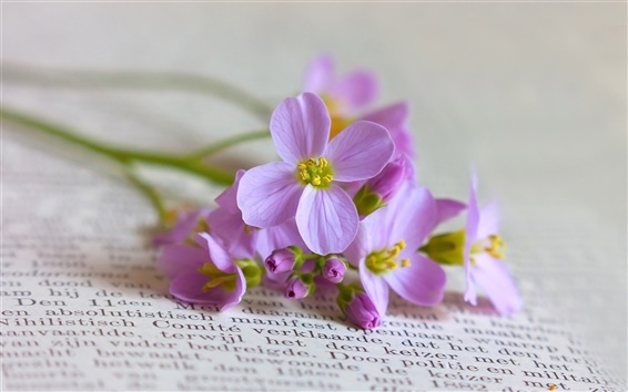 Tử vi ngày 8/4/2022: Tuổi Sửu nâng cấp uy tín, tuổi Dậu thành quả bất ngờ