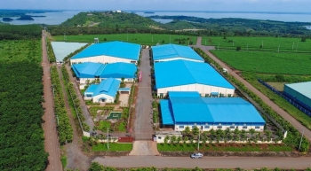 Những nhà máy “xanh” tiên phong ở Việt Nam
