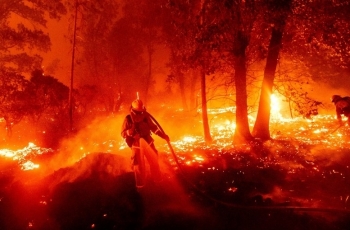 Cháy rừng ở bang California (Mỹ): Hơn 800.000 hécta rừng đã bị thiêu rụi