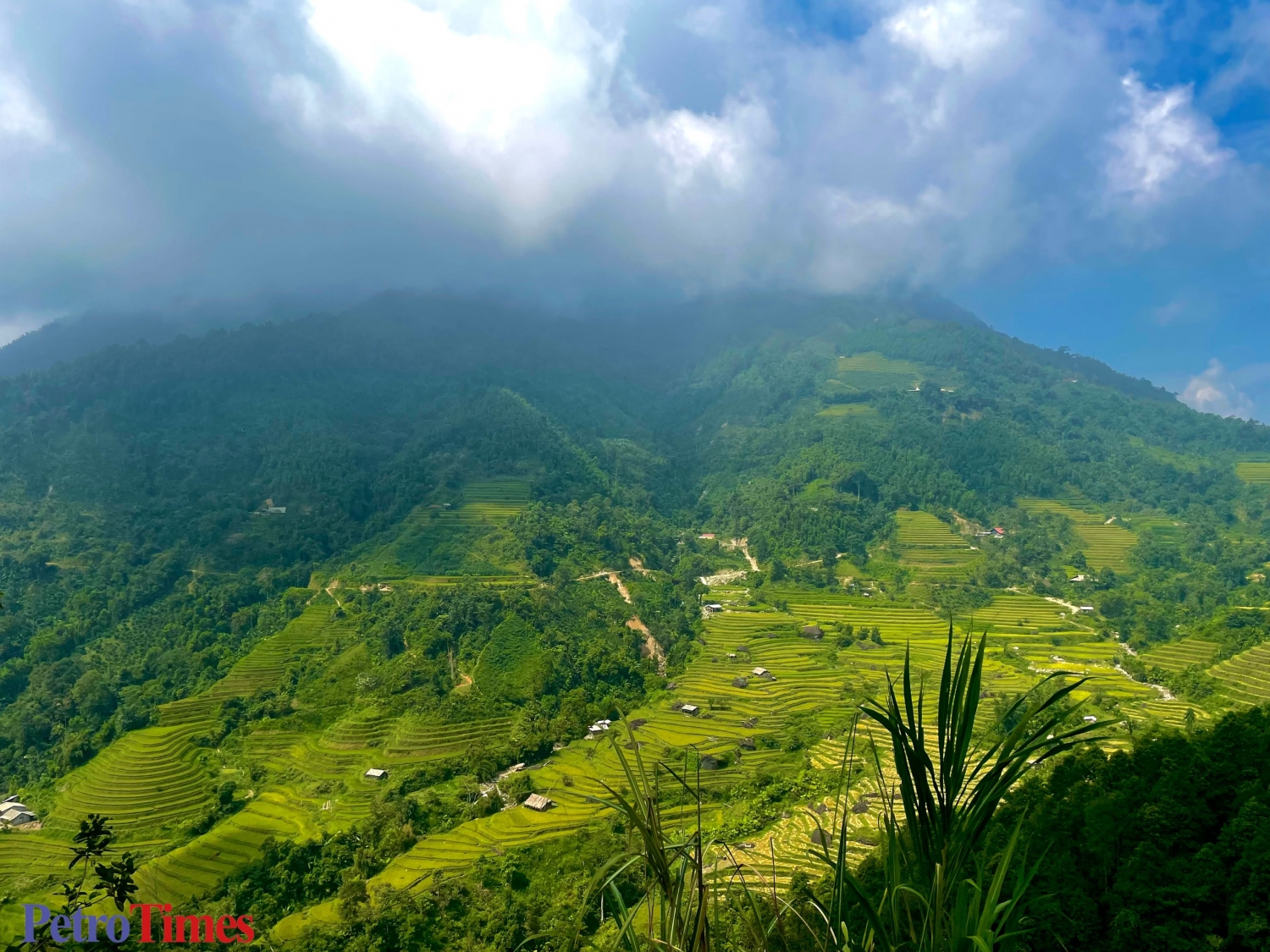 Hà Giang: 