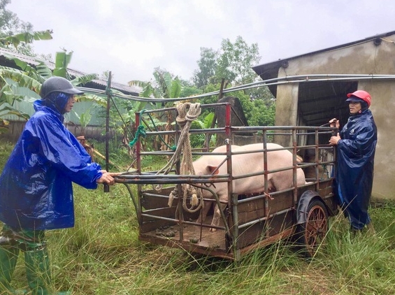 Hồ Kẻ Gỗ tăng lượng xả tràn, nhiều nơi ở Hà Tĩnh lại ngập