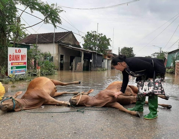 "Lũ quét sạch rồi, giờ lấy gì trả nợ nuôi con!"