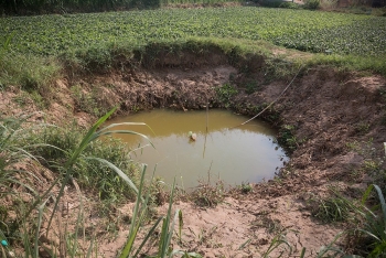 Thêm giếng nước - thêm nguồn nước ngọt cho vùng hạn mặn tại Đồng bằng sông Cửu Long