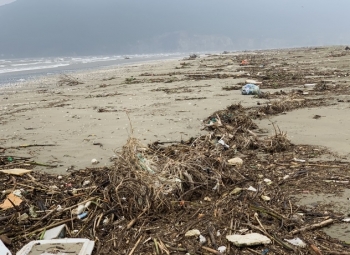 Hà Tĩnh: Hàng chục tấn rác bủa vây bãi biển sau lũ