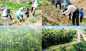 Các địa phương tăng cường bảo vệ, phát triển rừng bền vững