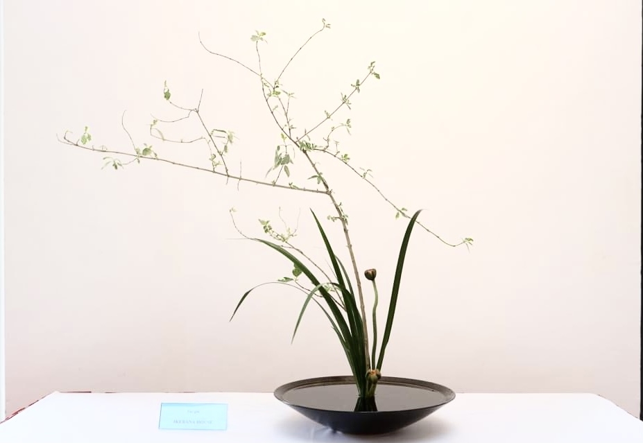 Triển lãm Ikebana Hà Nội lần thứ 4: “Lặng” để trân quý những điều ta đang có