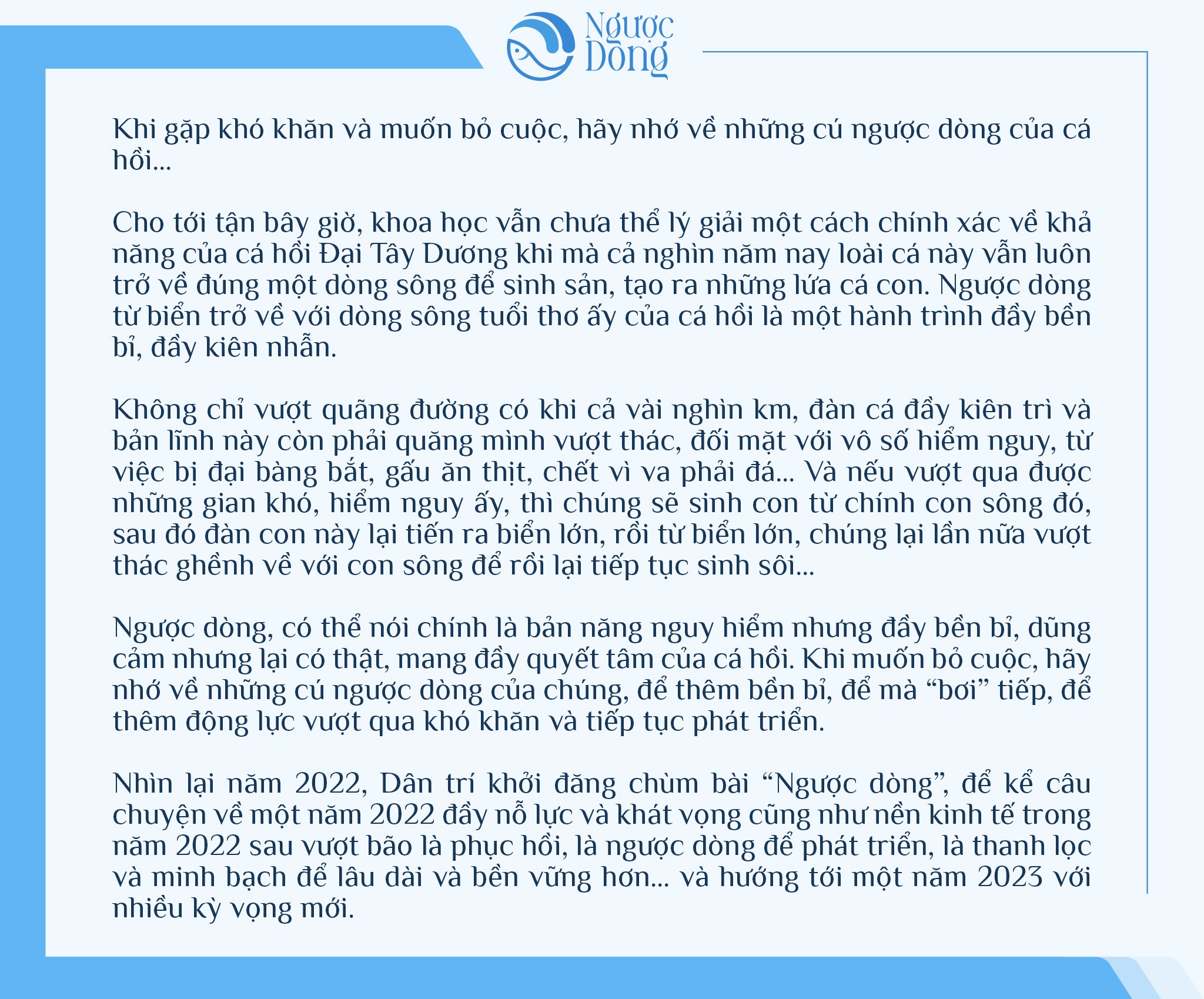 Kinh tế Việt Nam 2022, chuyện lội ngược dòng và chìa khóa tăng trưởng 2023 - 1