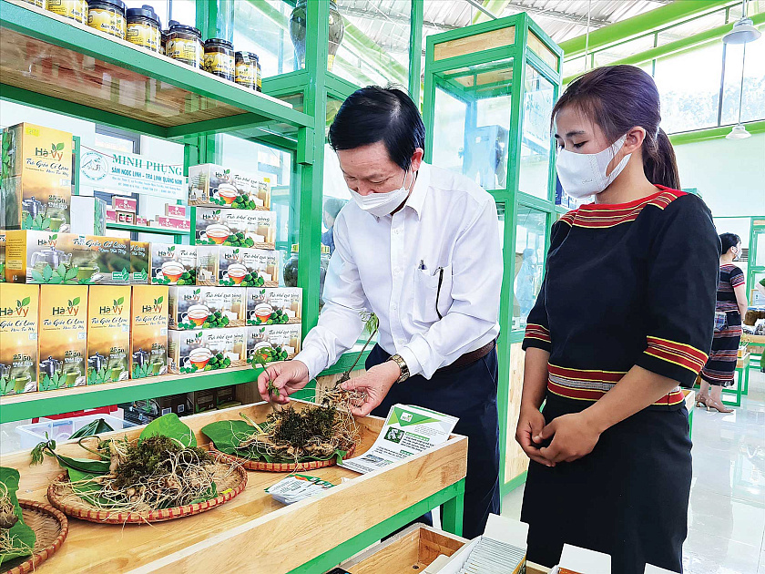 Kinh tế thảo dược - hướng tiếp cận để phát triển dược liệu ở Việt Nam