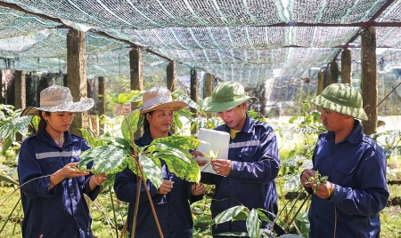 Thực trạng và chính sách phát triển dược liệu Việt Nam