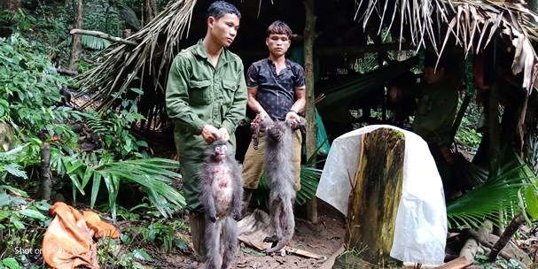 tin tuc ngay 151 bat 5 doi tuong san ban dong vat hoang da thu giu 2 ca the vooc xam