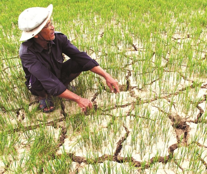 sao cu nham mat bat tay lam an voi tau