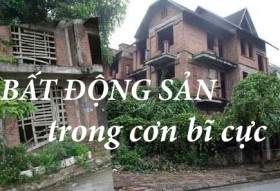 bat dong san trong co bi cuc