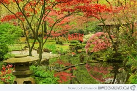 15 khu vườn lấy cảm hứng từ văn hóa Nhật Bản