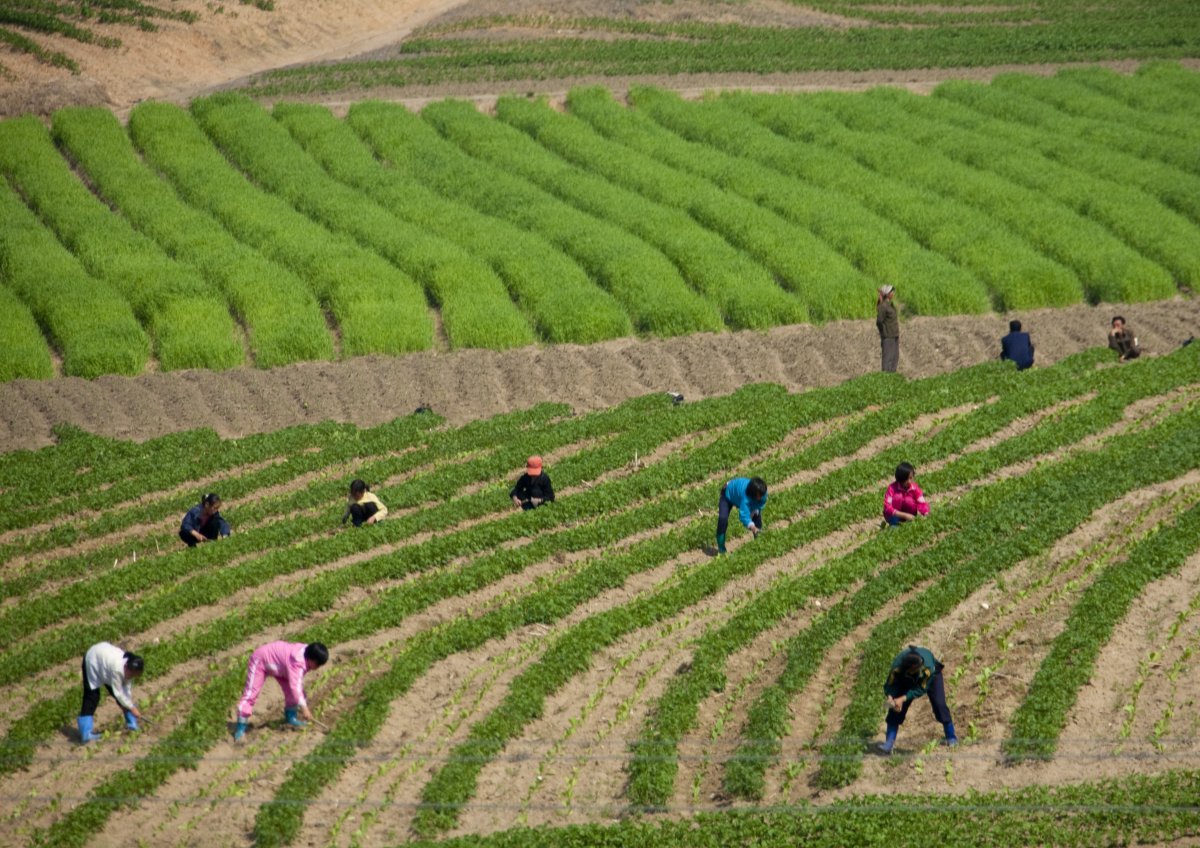 Những hình ảnh mới công bố: Cuộc sống thực ở Triều Tiên