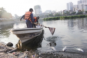 Thời tiết thay đổi khiến cá ở hồ Hoàng Cầu chết hàng loạt