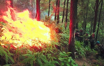 Cháy rừng suốt 11 tiếng ở Hà Tĩnh