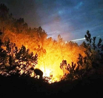 Ngăn cháy rừng, người đàn ông bị lửa thiêu tử vong