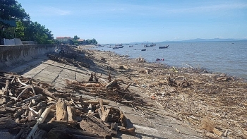 Nghệ An: Bãi biển ngập rác sau mưa lớn
