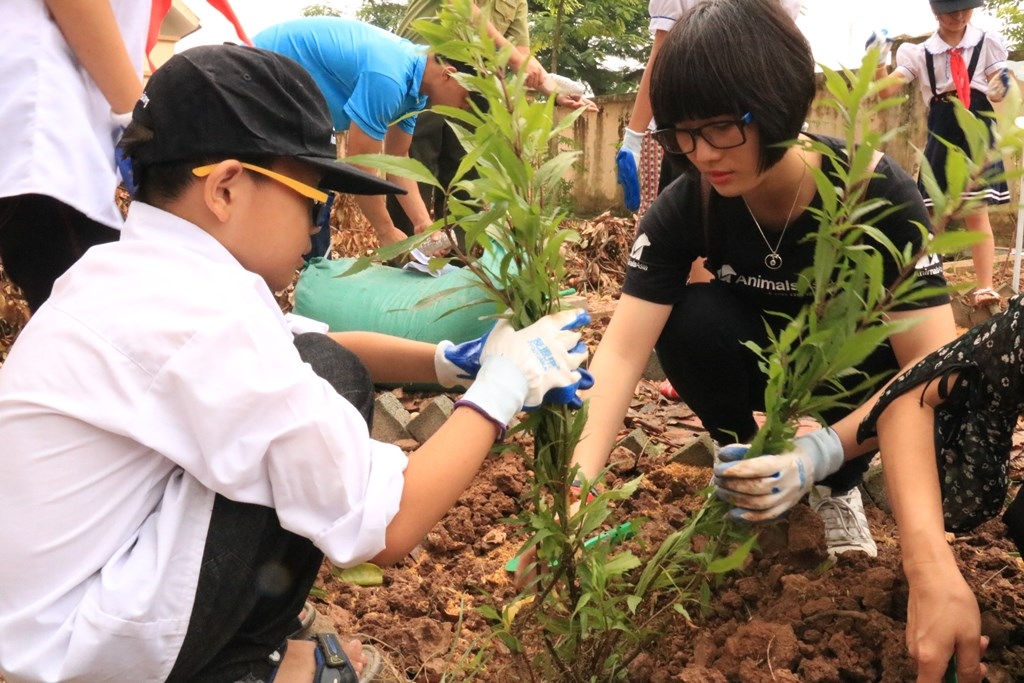 Học sinh Hà Nội chung tay trồng cây thảo dược thay thế mật gấu