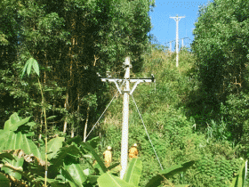 Người công nhân điện gắn bó với núi rừng Trường Sơn