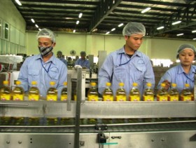 Góc khuất PCI: TPP gần mà xa