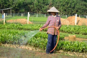 Quảng Nam: Sức bật từ tiêu chí số 4 ở xã Ba