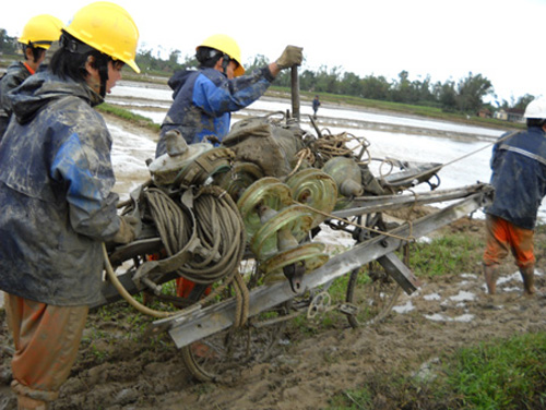 Ngành điện khắc phục hậu quả bão Rammasun