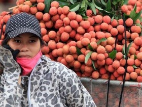 Bác tin vải Trung Quốc tràn ngập Lạng Sơn