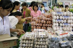 "Làm giá" trứng gia cầm: Nợ người tiêu dùng một lời xin lỗi!