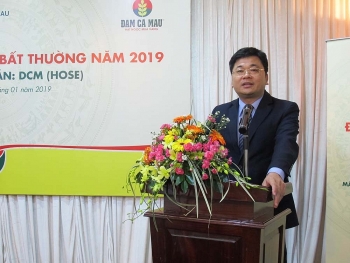 Ông Trần Ngọc Nguyên được bầu làm Chủ tịch HĐQT PVCFC