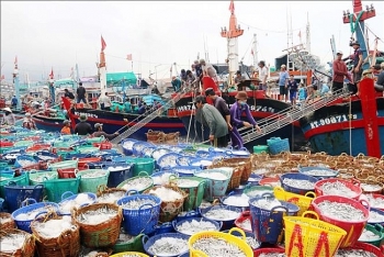 Năm 2019 xuất khẩu hải sản ước đạt 3,2 tỷ USD