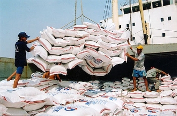 Khẩn trương xác minh thông tin 20.000 USD cho một giấy phép xuất khẩu gạo