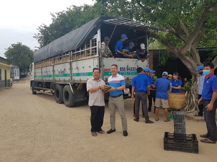 pvoil giai cuu dua hau tai ninh thuan