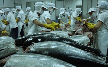 Dịch bệnh corona có thể gây khó khăn về nguyên liệu cá ngừ
