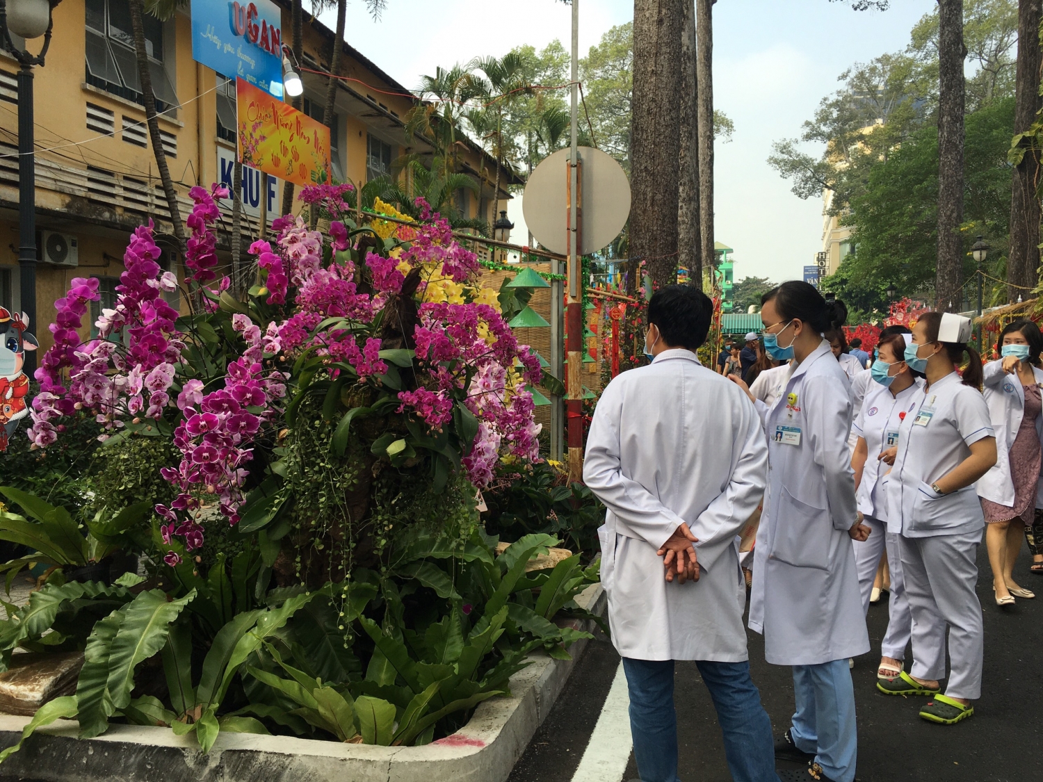 Ngắm đường hoa Xuân Tân Sửu trong Bệnh viện Chợ Rẫy