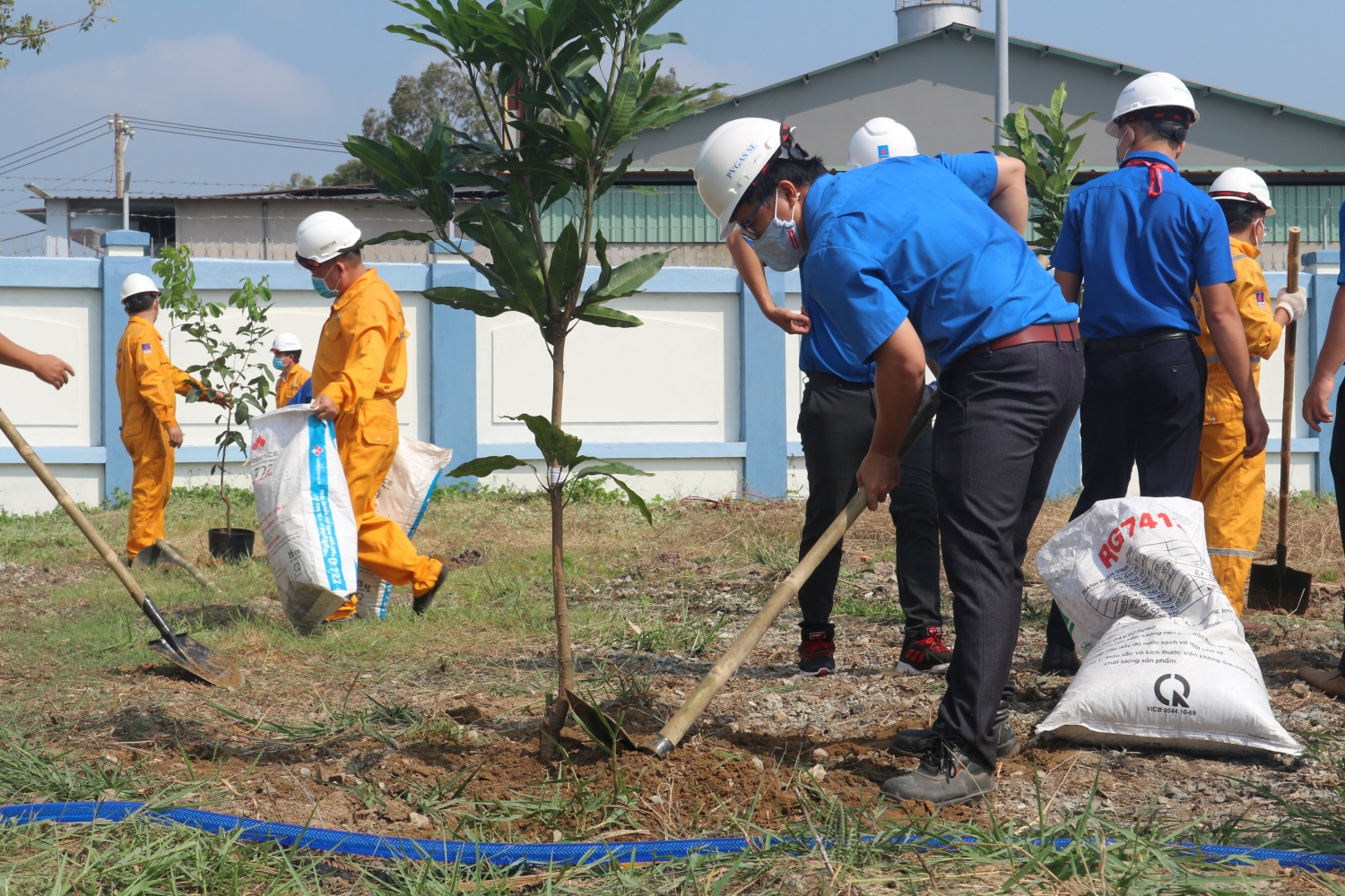 KĐN phát động đợt 2 chương trình trồng cây “Chung tay vì màu xanh trên công trình khí”
