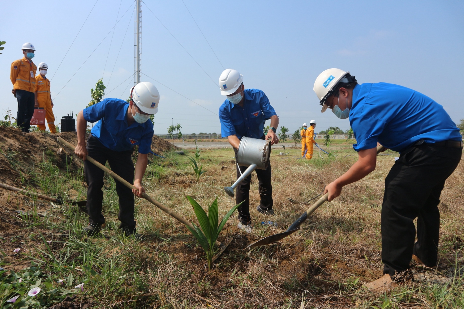 chương trình trồng cây tại Trạm Phân phối khí Bà Rịa (GDS Bà Rịa)