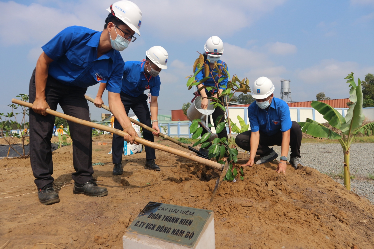 KĐN phát động đợt 2 chương trình trồng cây “Chung tay vì màu xanh trên công trình khí”