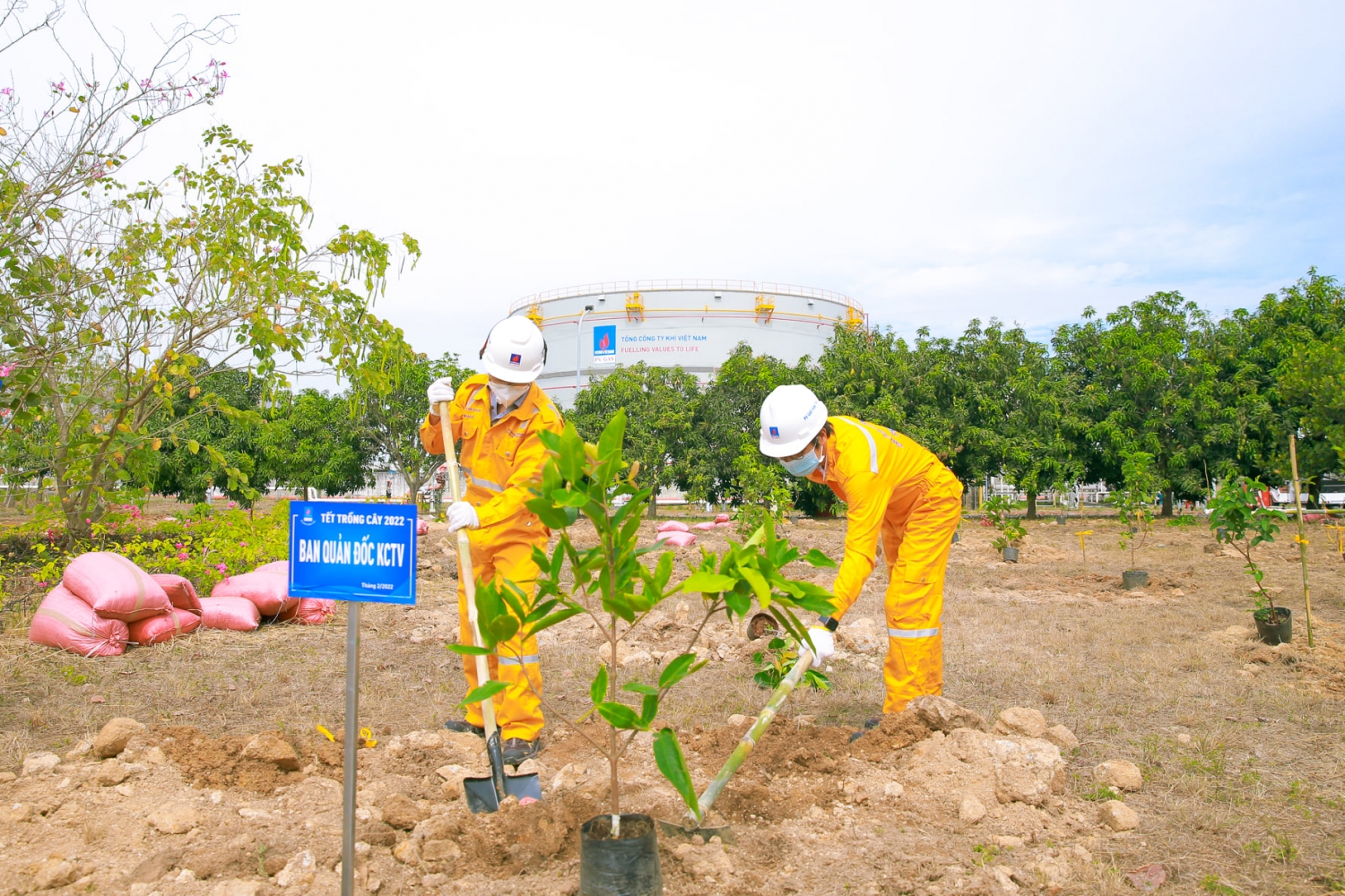 KVT tổ chức “Tết trồng cây” năm 2022 tại Kho cảng PV GAS Vũng Tàu