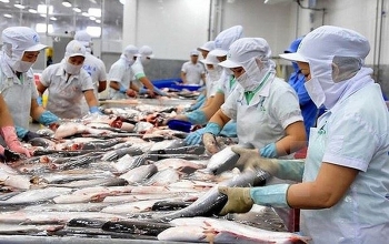 Xuất khẩu thủy sản sang Trung Quốc giảm 44% do ảnh hưởng dịch Covid - 19